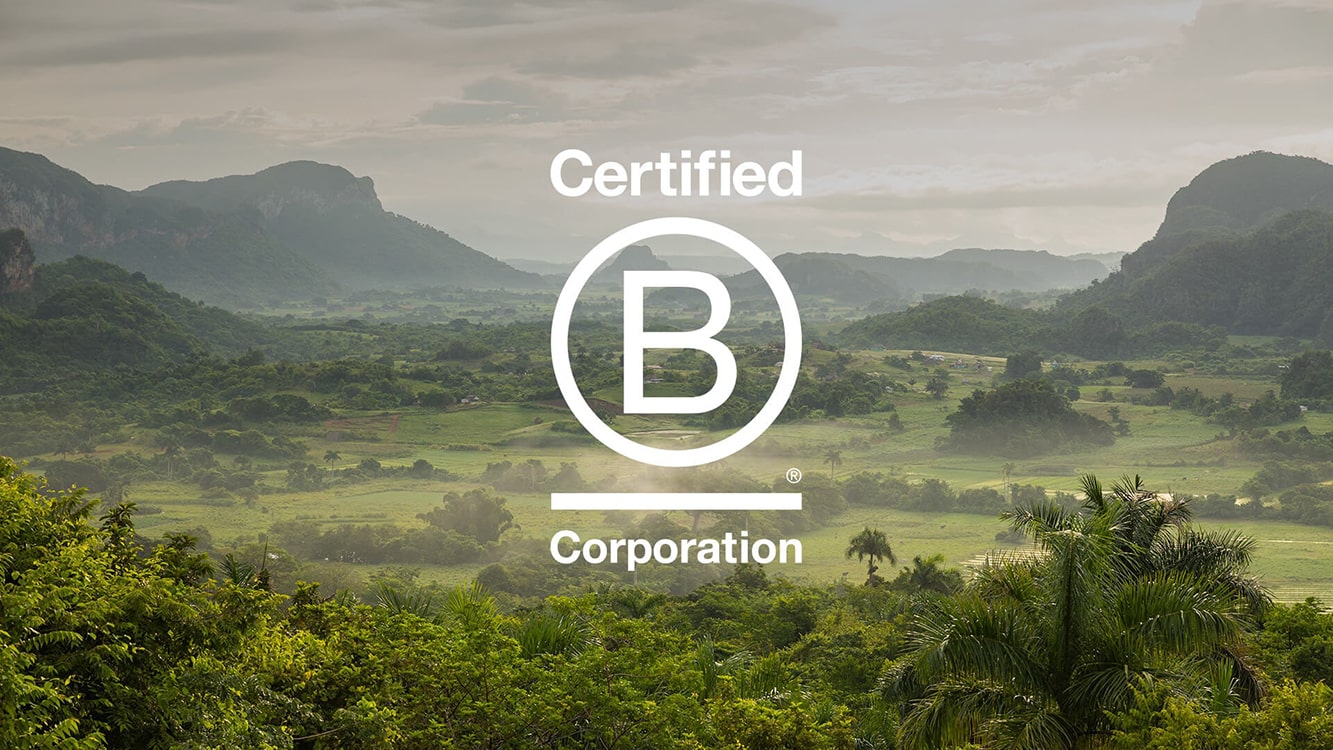 What Does B Corp Certification Mean for a Jewellery Brand?