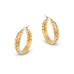 Cesar Gold Hoop Earrings - Amadeus