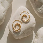 Venus Pearl Shell Earrings - Amadeus