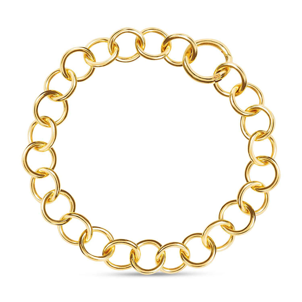 Daphne Thick Chain Choker Necklace